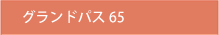 グランドパス６５
